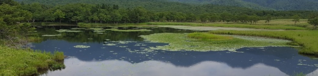 20160730_145327.jpg